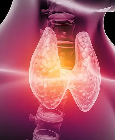 Rising Thyroid Disorders in UK Women Prompt Focus on Mediterranean Diet as Potential Solution