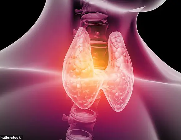 Rising Thyroid Disorders in UK Women Prompt Focus on Mediterranean Diet as Potential Solution