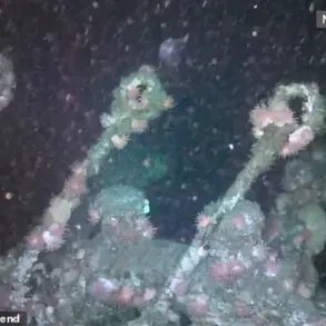 SS Terra Nova: A Haunting Legacy Unearthed from the Depths of History