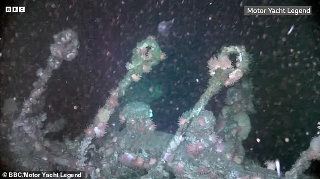 SS Terra Nova: A Haunting Legacy Unearthed from the Depths of History