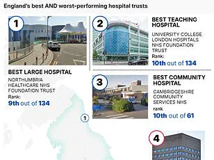 UK Unveils First Public NHS Hospital Rankings, Exposing Disparities and Urgent Care Gaps
