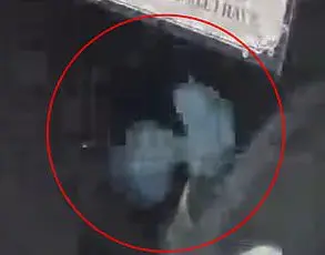 Viral Footage of Mysterious Stroller Movement Sparks Supernatural Speculation